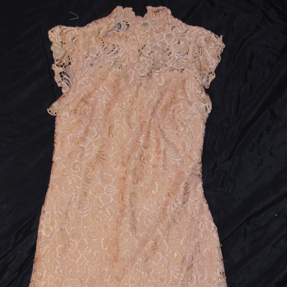 Pink Lace Fitted Dress